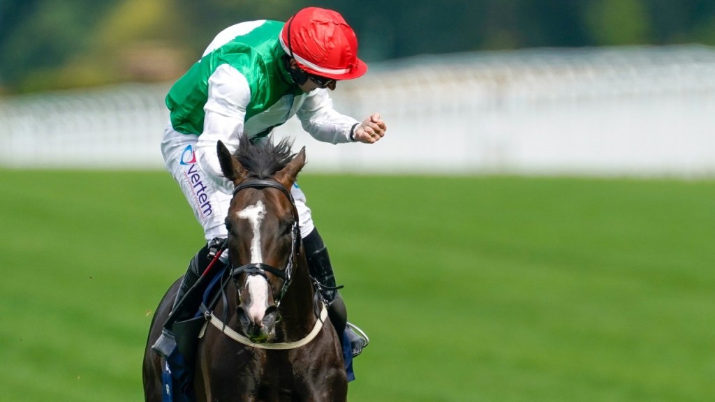 每日賽馬晚報（2023年10月21日），🇬🇧🇮🇪致勝一擊去古摩亞做種馬，🇯🇵莫雷拉讓匯兩川復活