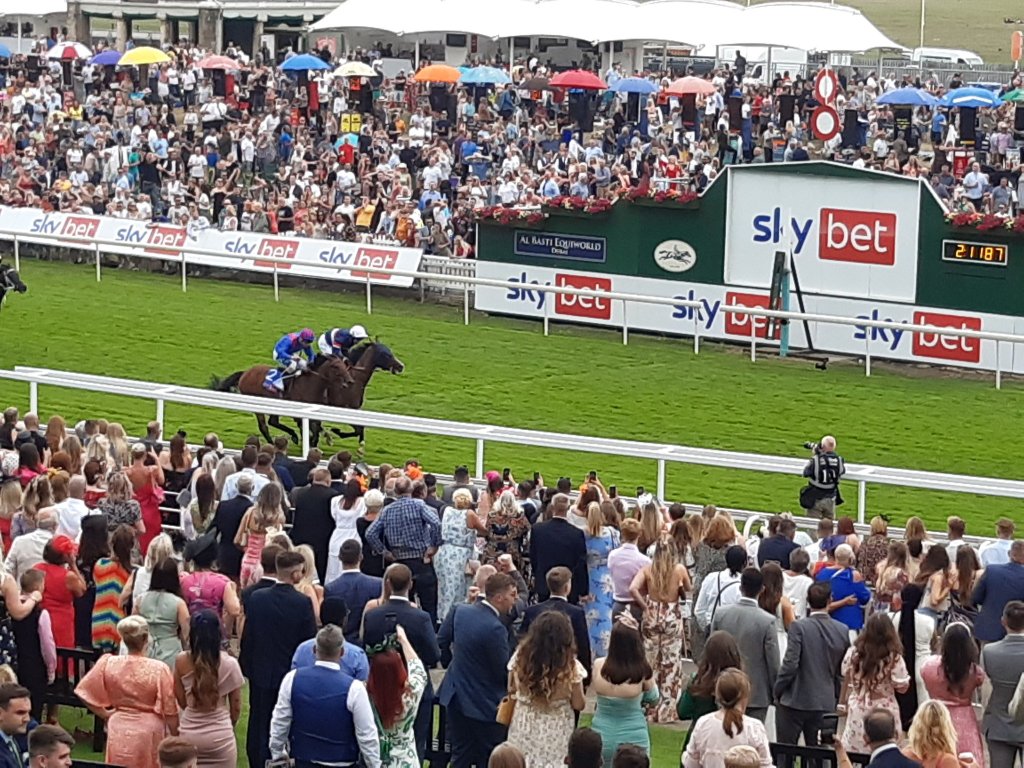 約克錦標，街頭藝人連輸二十場後力壓一級賽上名馬