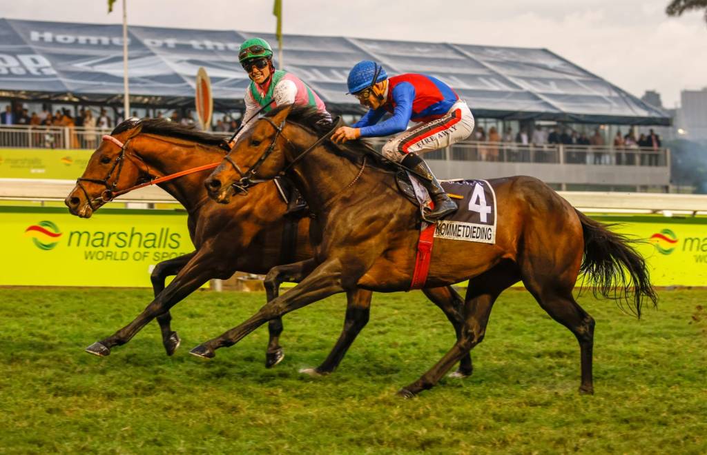 2023年1月28日南非大都會錦標賽馬日精選