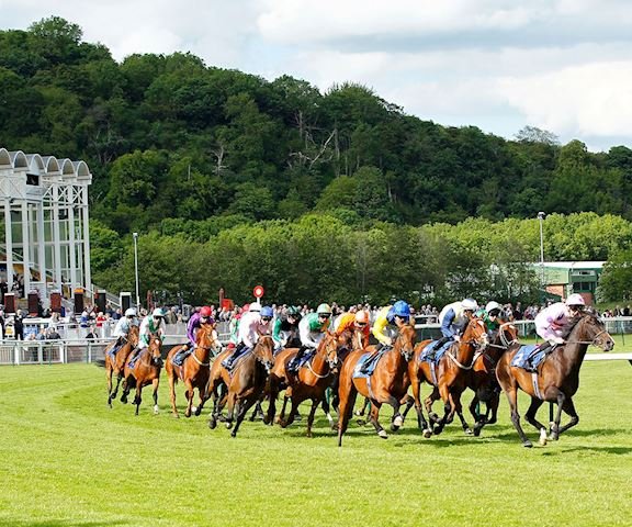 賽馬專題，英國處女馬賽福地諾定咸