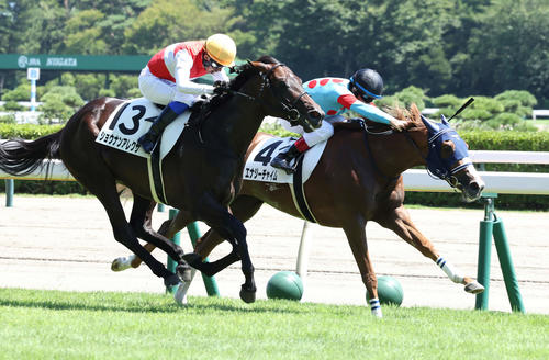 每日賽馬晚報（2022年8月13日），強靭鬥士B計劃被董事否決，李慕華日本復出隨即贏馬