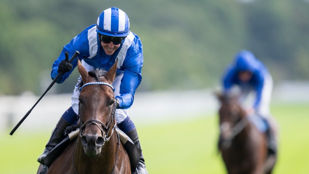 勝千里退役配種前計劃有三個可能，但一切只戰冠軍錦標先行