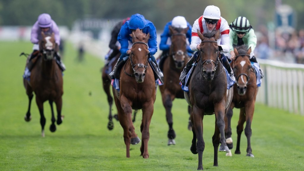 川河威駒能夠在澳洲墨爾本盃威盡？