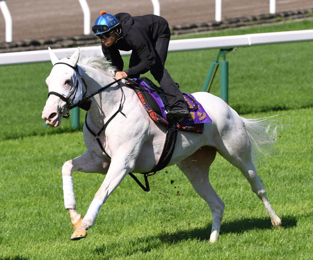 每日賽馬晚報（2022年8月19日），韓國國際賽每地限一駒入選，週日四場大戰前瞻