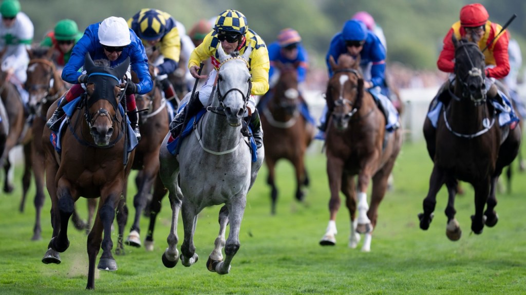 伊波讓賽，戴圖理漁利盡收