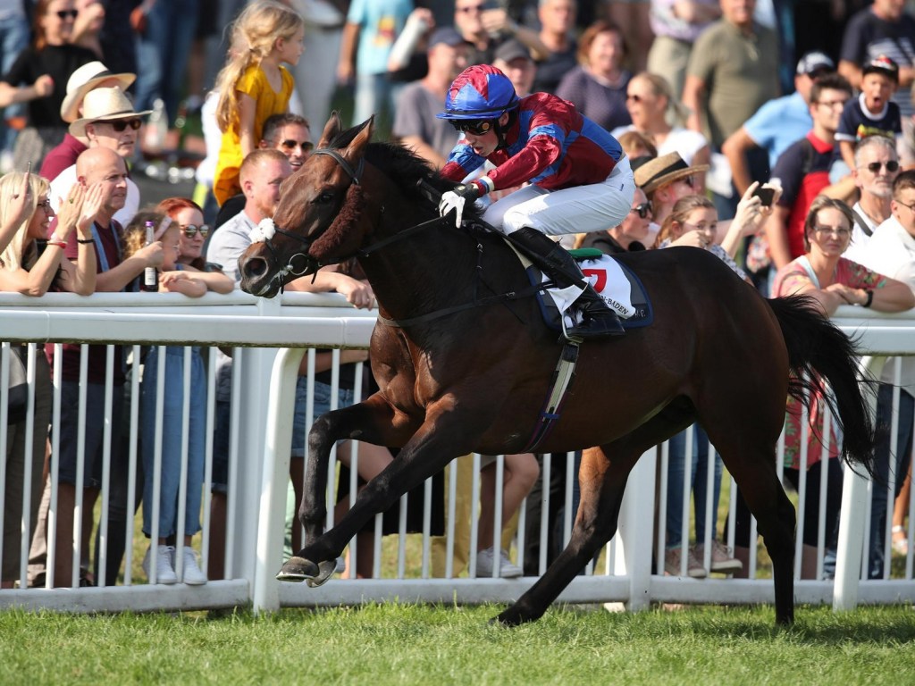 每日賽馬晚報（2022年8月30日），覺士盾或無外國馬，郭健厲首勝分級賽但代價沉重