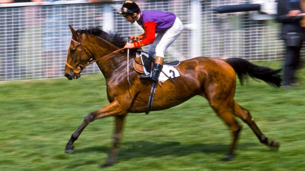 歷史名駒系列R，擊敗不敗之駒的強者（上）