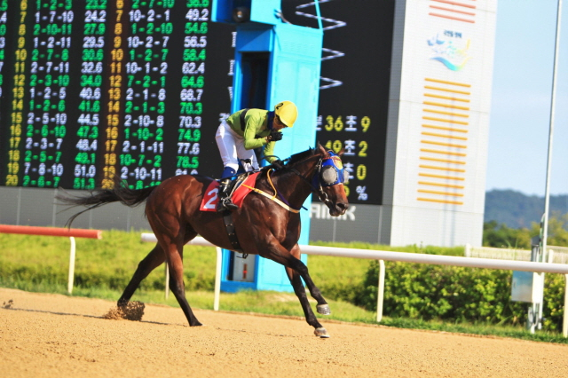 錶之智能及黃金甲能否突圍？韓國短途錦標及韓國盃前瞻