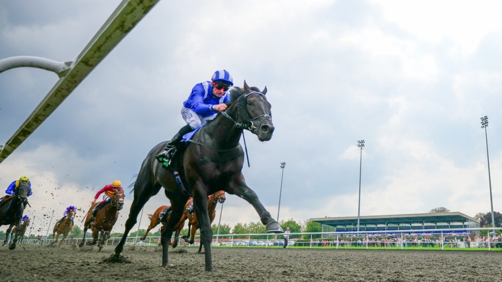 新未來城草地盃，瞄得對趁日本馬不在發威