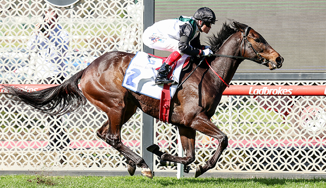 每日賽馬晚報（2022年9月3日），雅大爺下週四或復出，樂觀派搶贏覺士盾優先出賽資格