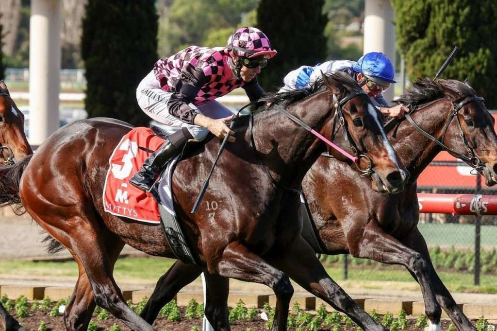 每日賽馬晚報(2023年1月24日),Rothfire取消海外遠征,喜結良緣阿拉伯鬥三匹日本馬