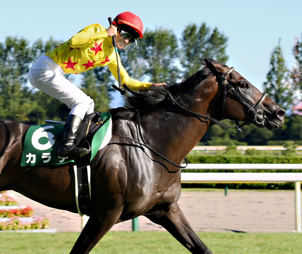 每日賽馬晚報（2022年9月4日），綠化帶成為澳洲馬王，空手道跑二千米一樣得