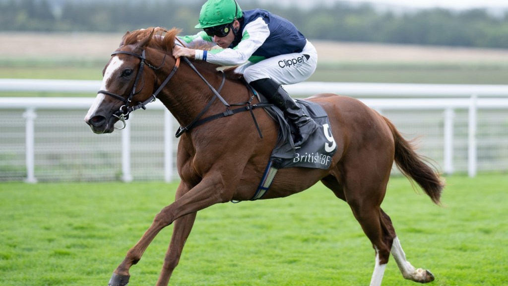 每日賽馬晚報(2022年9月7日),Flightline半弟退出堅蘭拍賣會,Snapdancer獲珠峰出賽資格