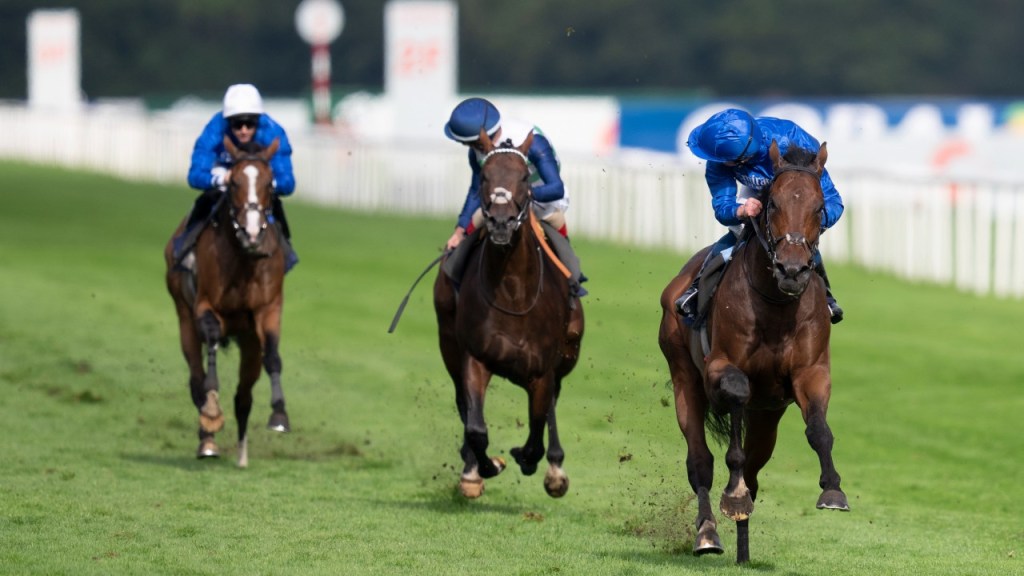 雅大爺如金剛，料凱旋門大賽及冠軍錦標二選其一