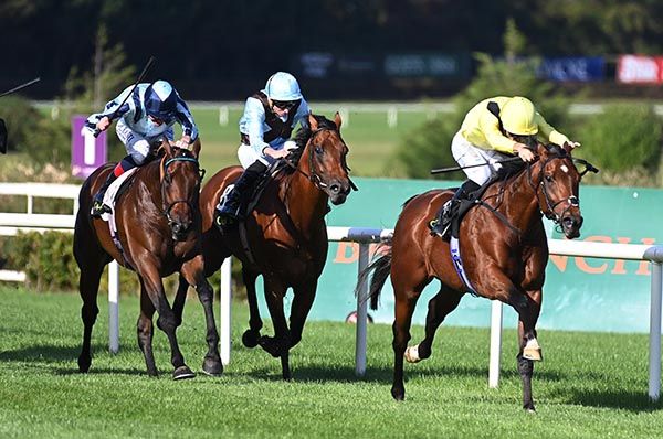 爭功名緊急補充報名參加女皇伊利沙伯二世盃