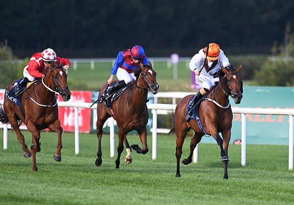 馬頓錦標,明珠常盈找機會放到底