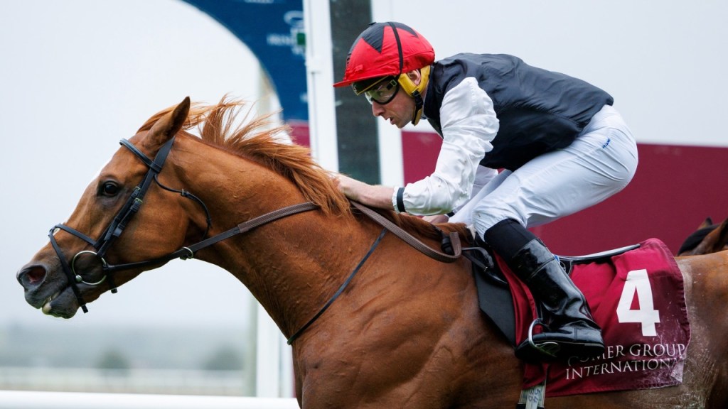 愛爾蘭聖烈治錦標,饒舌達人三連勝,不過年內或有大目標