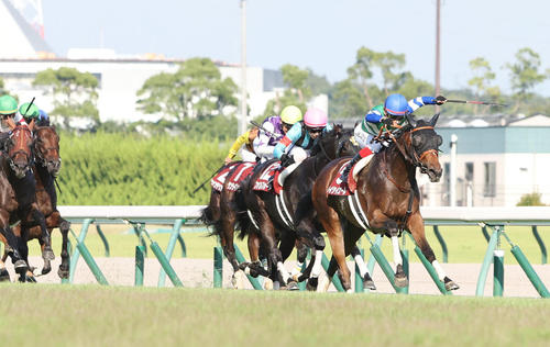 人馬錦標，齊叫好破紀錄大勝