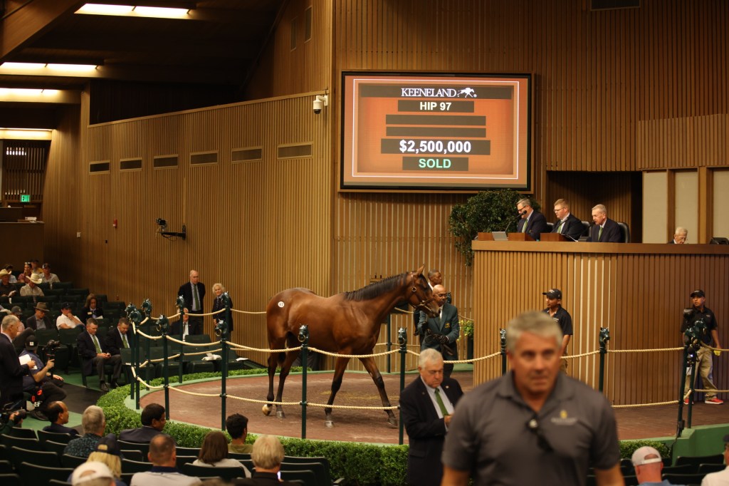 每日賽馬晚報（2022年9月13日），戴圖理停賽五天不過凱旋門大賽保證有得騎，堅蘭拍賣會首天現250萬身價馬