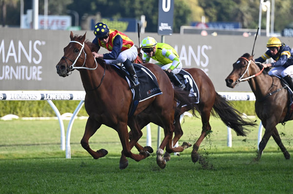 索士錦標,綠化帶回到澳洲仍勇