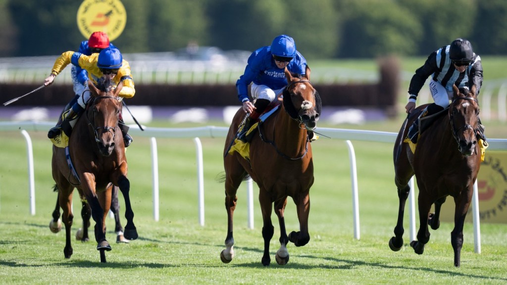 保持對「高警覺」作出警戒(可能執行B計劃)