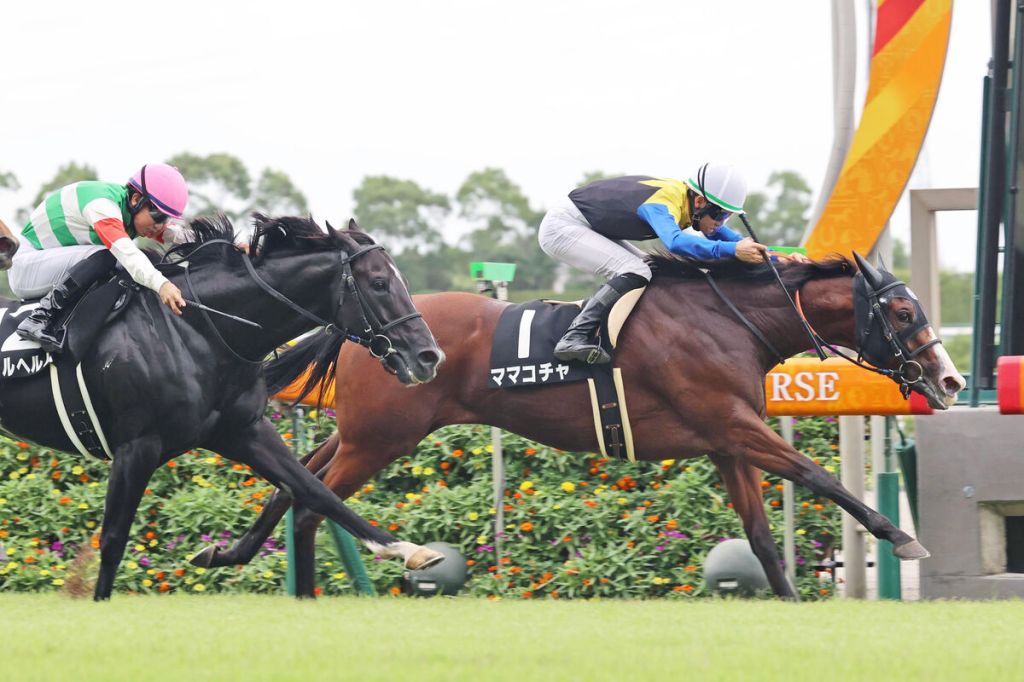 每日賽馬晚報（2022年9月19日），雍容爾雅確定跑凱旋門大賽，Mama Cocha氣勢良好取下三連捷