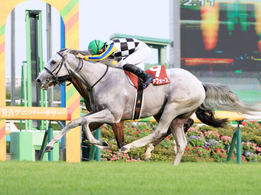 地神力 縮程上陣反成活路？