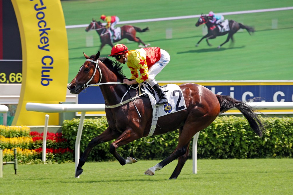 慶典盃，加州星球行過贏馬