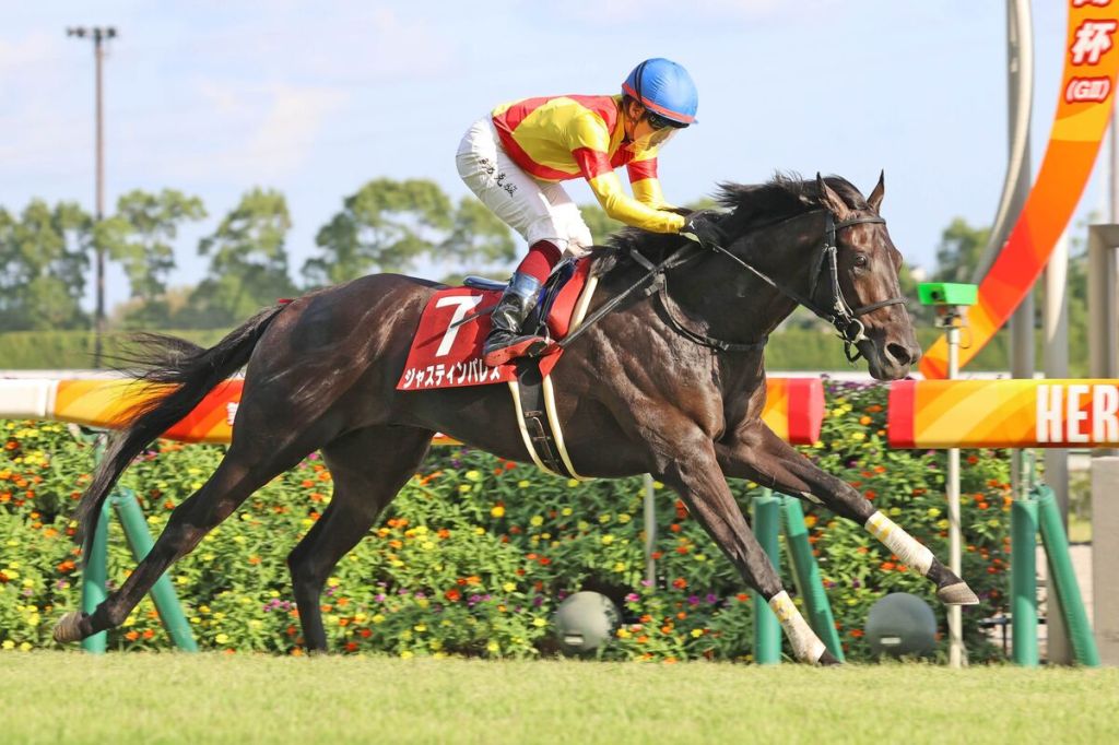 神戶新聞盃，駿天宮突破應有表現取勝