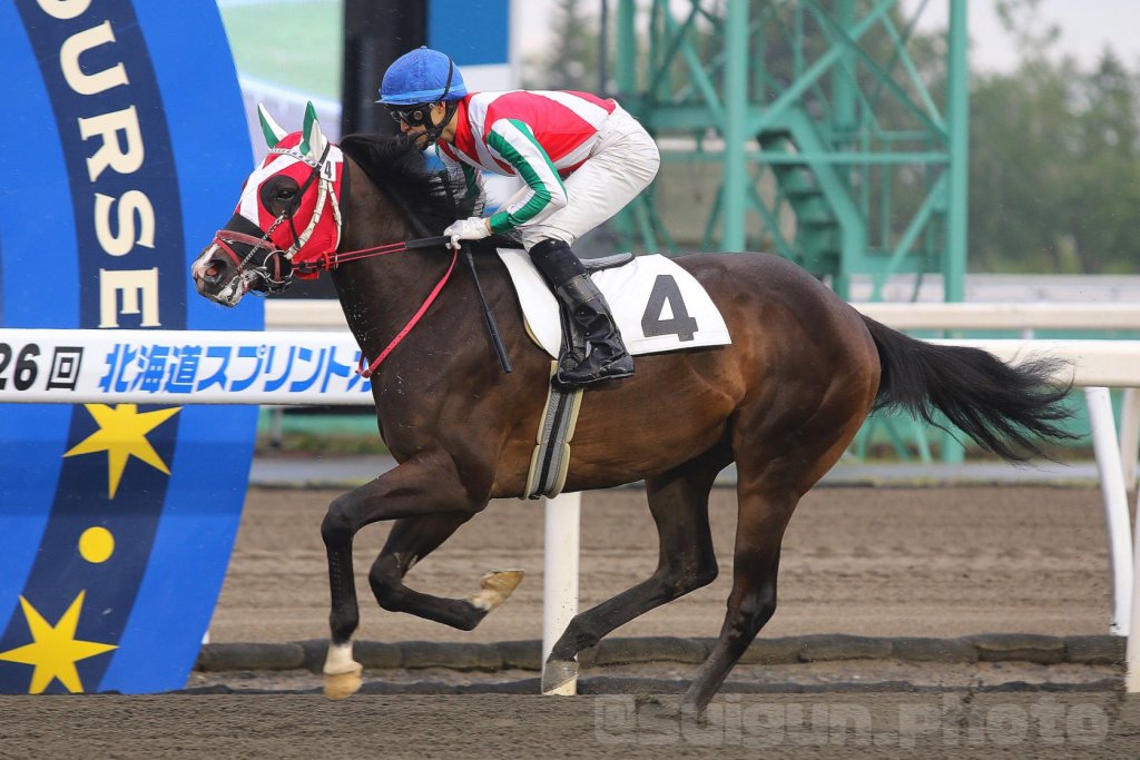 小栗帽直系子孫奇蹟在賽場生存