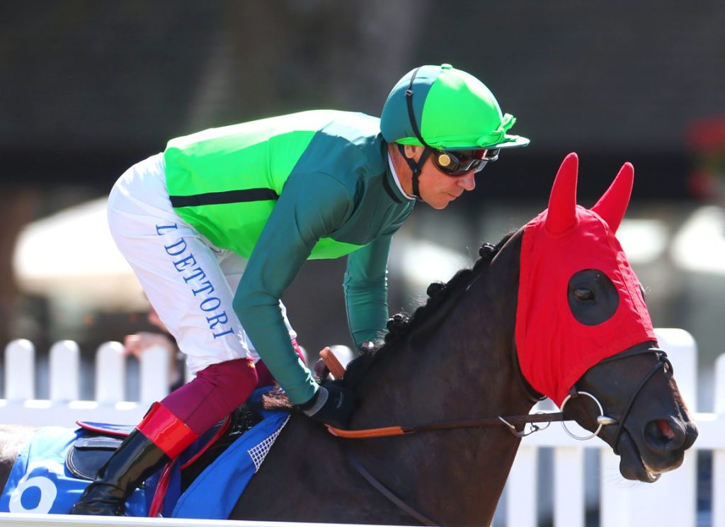 雍容爾雅正式從賽場上退役