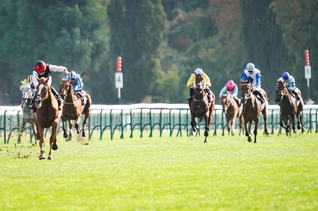 嘉登大賽，饒舌達人無雙式大勝