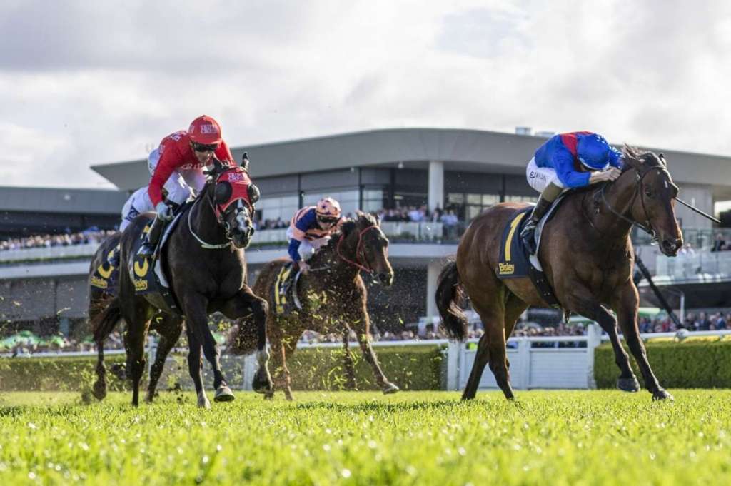 每日賽馬晚報（2022年10月3日），領銜如及時回復或跑有馬錦標，珠穆朗瑪峰錦標十二天前最新異動