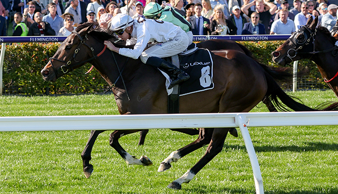 2022年11月1日墨爾本盃賽馬日各場推介（第三場有更改），墨爾本盃無馬膽