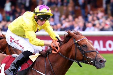 皇家地錦標，海都薔薇奪標，雍容爾雅果然不值入選凱旋門大賽