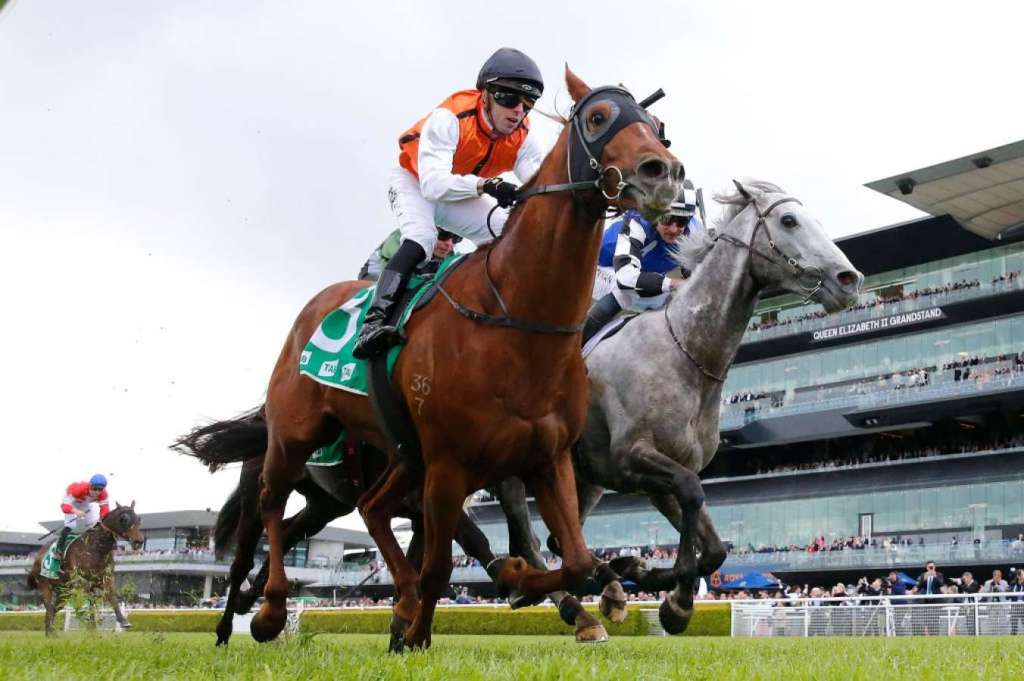 揭密者及頂級葉森讓賽雙雙奪冠，Smokin’ Romans考盃前再勝東寶錦標