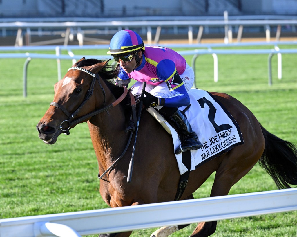 好鬥女神 罕有行動挑戰雄馬