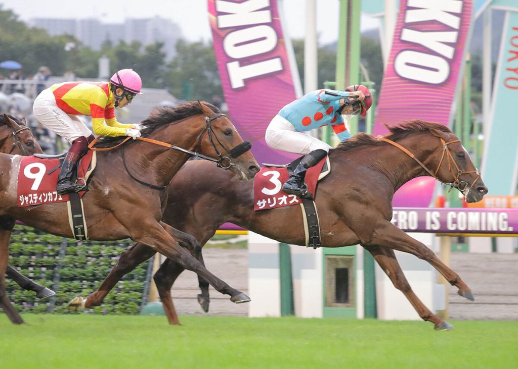 每日賽馬晚報（2022年12月10日），戰舞者退出香港一哩錦標，絕技復活贏中日新聞盃