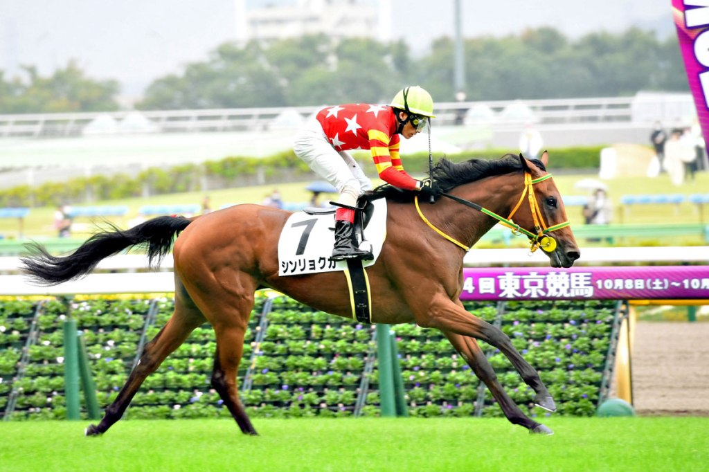 每日賽馬晚報（2023年3月29日），Shinryokuka櫻花賞跑不成轉戰皐月賞，韋氏五月尾或六月初再上陣