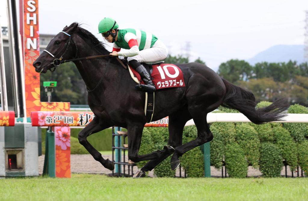 走了泥地冤枉路飄揚青帆，草地發揮威力，贏完京都大賞典挑戰日本盃