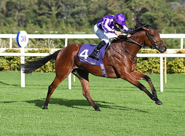 大開羅還有多少料？