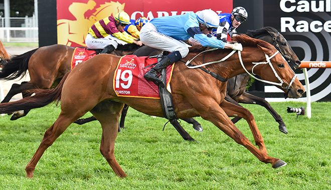 考菲爾德盃，鹿之園後備補上下直闖墨盃