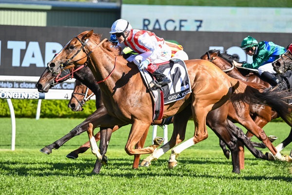 珠穆朗瑪峰錦標，勁力猛擊後上勁揪破網