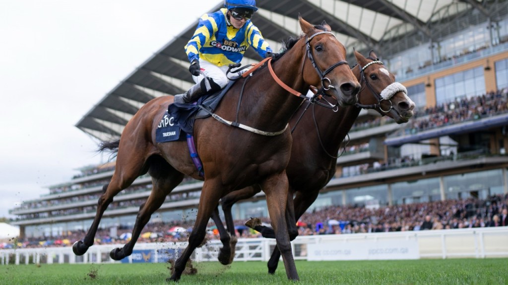 每日賽馬晚報（2023年10月4日），🇦🇷🇭🇰馬會送多場轉播賽給余先生，🇭🇰🇦🇺浪漫勇士就是要贏東寶錦標，🇬🇧真章英國冠軍長途盃爭四連霸