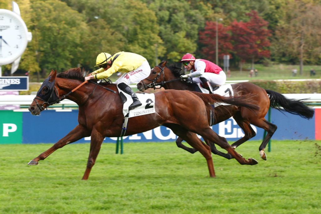 每日賽馬晚報（2022年10月17日），鹿之園贏考菲盃後再有加磅懲罰，加踏步法國贏二級賽有終之美