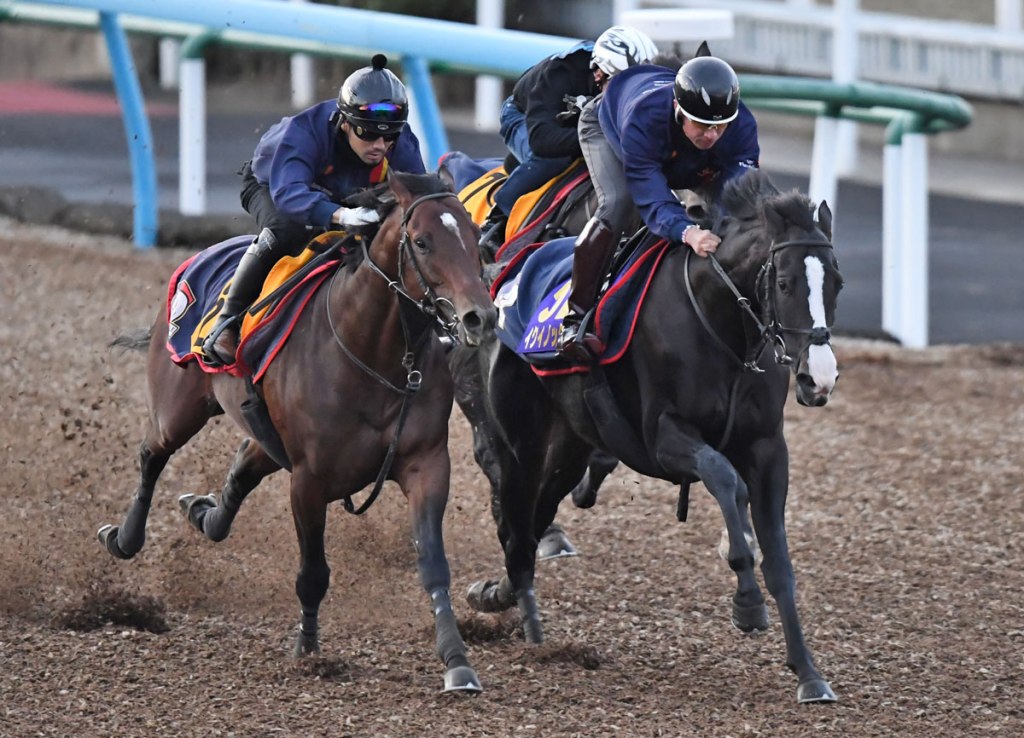 2022年10月30日賽馬日（10場谷草、C跑道），當然有秋季天皇賞