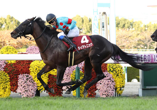 天鵝錦標，全音階再度滿血復活