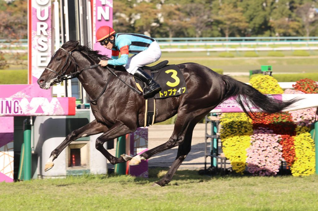 皐月賞戰況如雲，技超卓能否補刀？