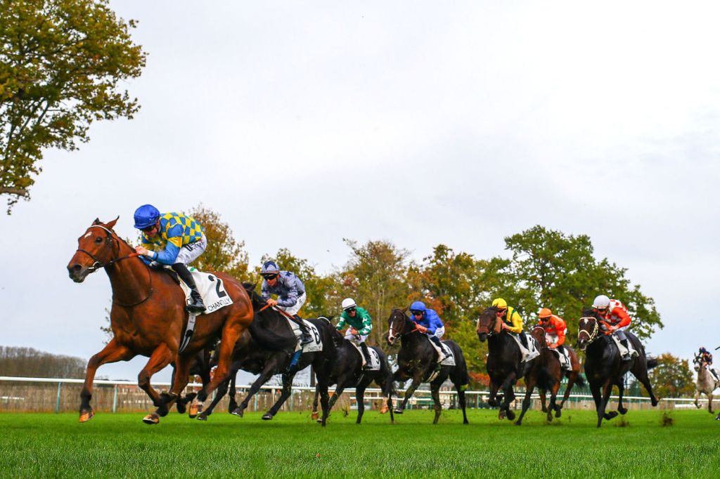 每日賽馬晚報（2022年10月31日），麥道朗薛恩回歸香江，心如鐵三級賽補中