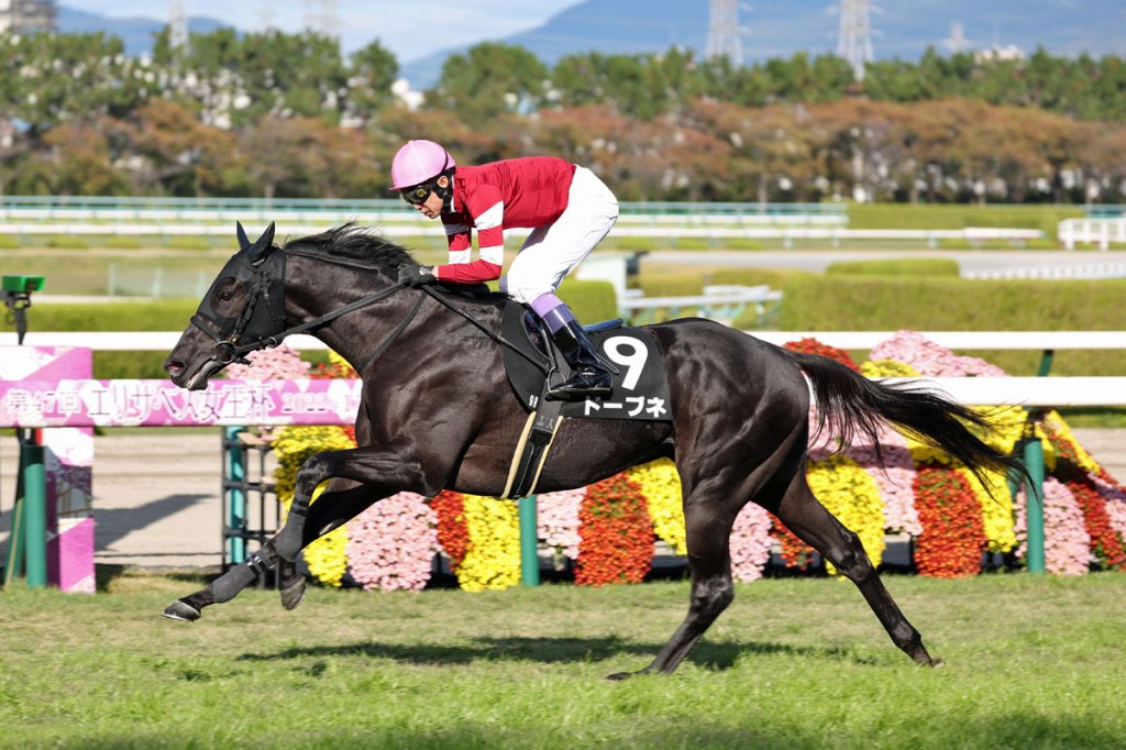 每日賽馬晚報（2022年10月30日），戴勝指一匹避戰馬可贏墨盃，武豐週日替兩匹五億身價馬取勝